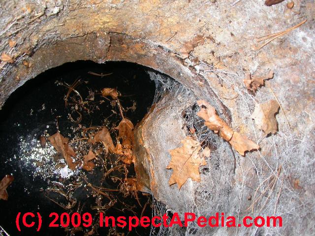 septic tank installation texas cities 
      zip batch
